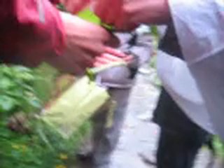 Le jardin d'Emilie -18