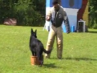 gotcha garde d'objet 22 mois