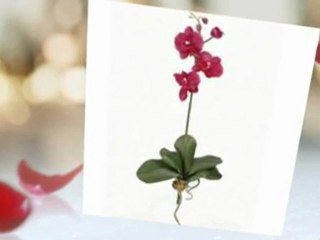 Artificial Silk Flowers