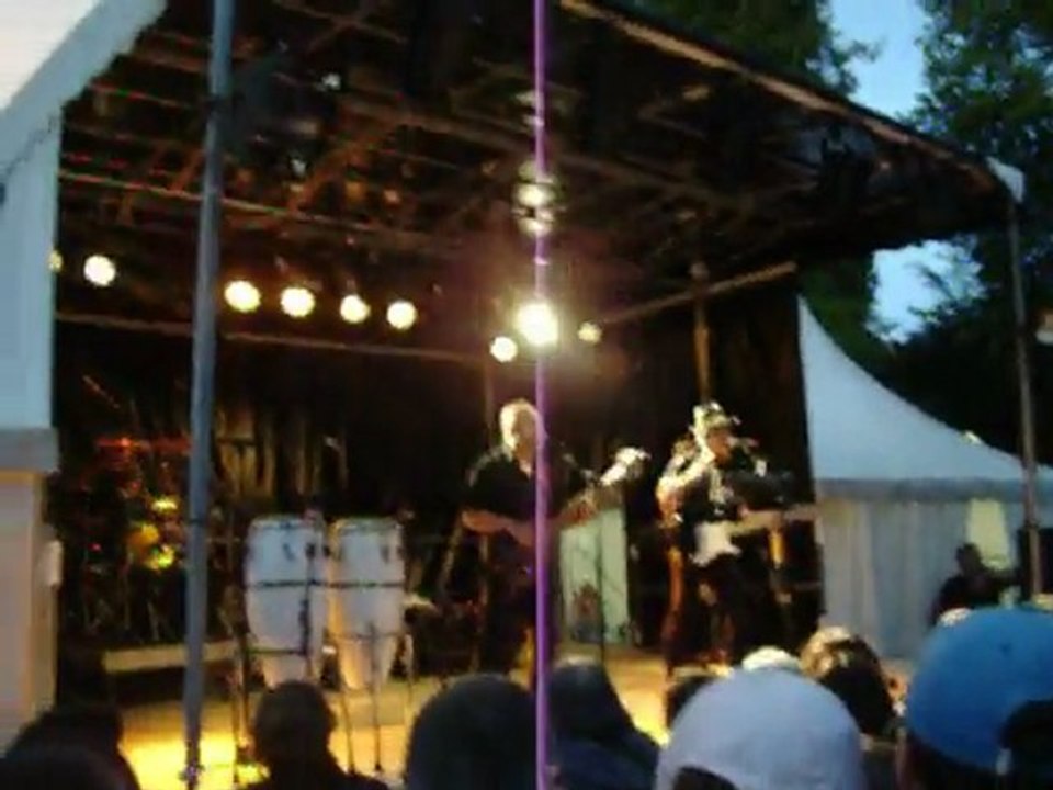 Fete De La Musique 2011 Oyonnax Concert GOLD