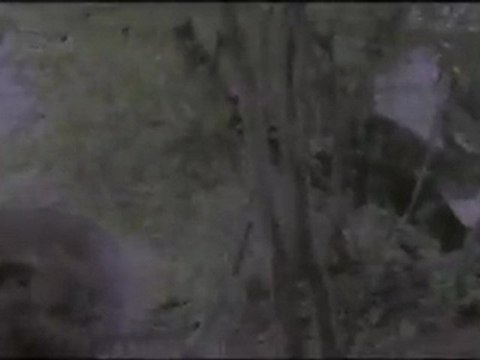 Haunted Attraction In PA - Jason's Woods Coming Fall 2011