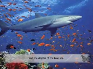 Thoughts Come True: Wisie Motivational Video for Children