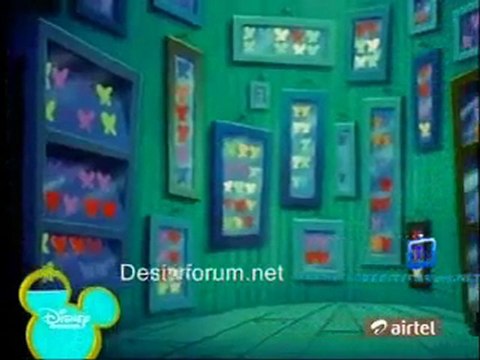 Timon and Pumbaa - 22th June 2011 watch video online p2