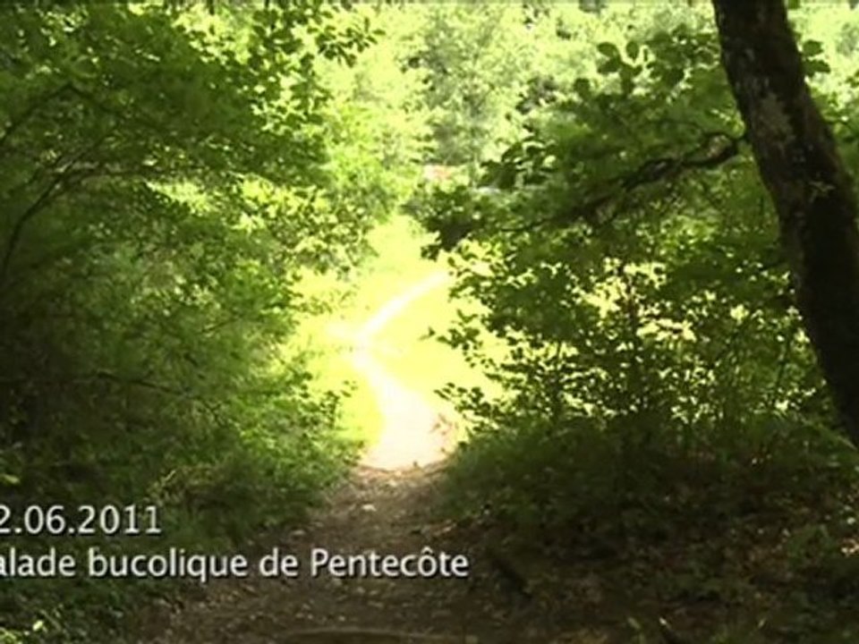 La caméra en balade du 21 juin 2011