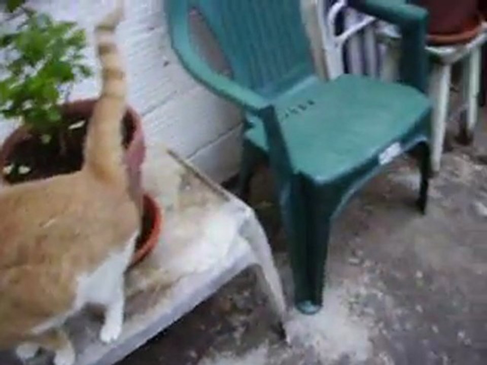 photos et vidéos du 22 juin 2011 006