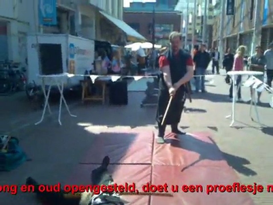 Japanese Sword-fighting: Koga Ryu Ninjitsu master Sensei Titus Jansen