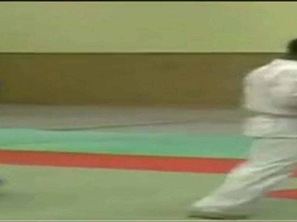 Stage JuJitsu Vincent PARISI-1