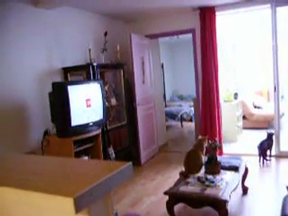 photos et vidéos du 22 juin 2011 008