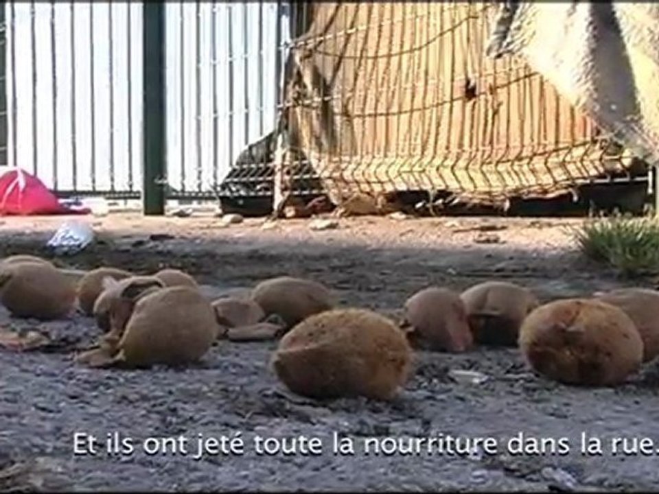 Quotidien des migrants a Calais