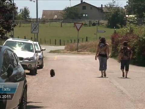 Vues sur l'Actu du 22 juin 2011