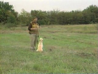 AV KÖPEĞİ EĞİTİM VİDEOSU6 Durustavci.com