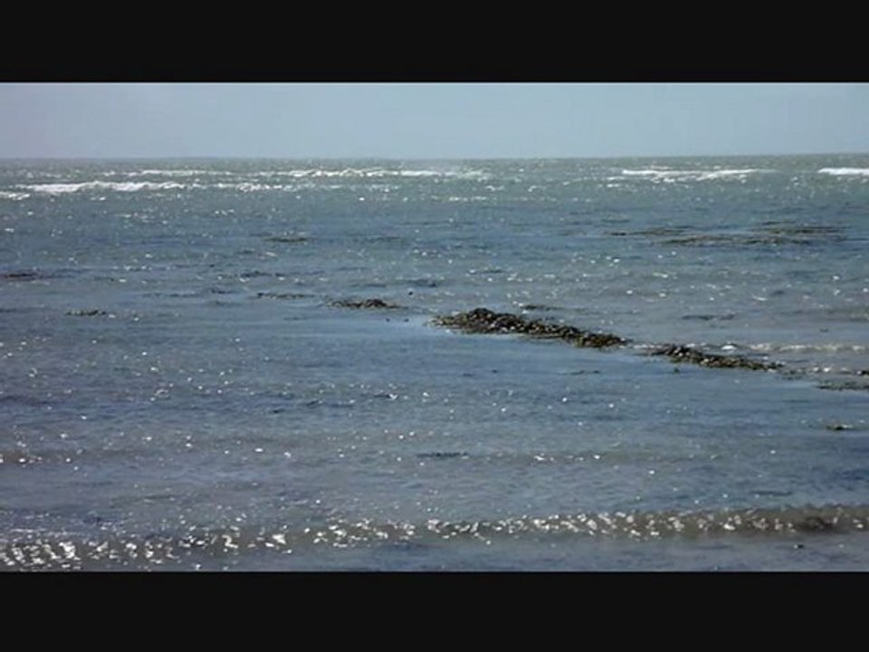 front ralenti