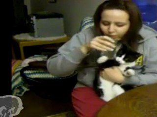 Chat qui boit du Perrier