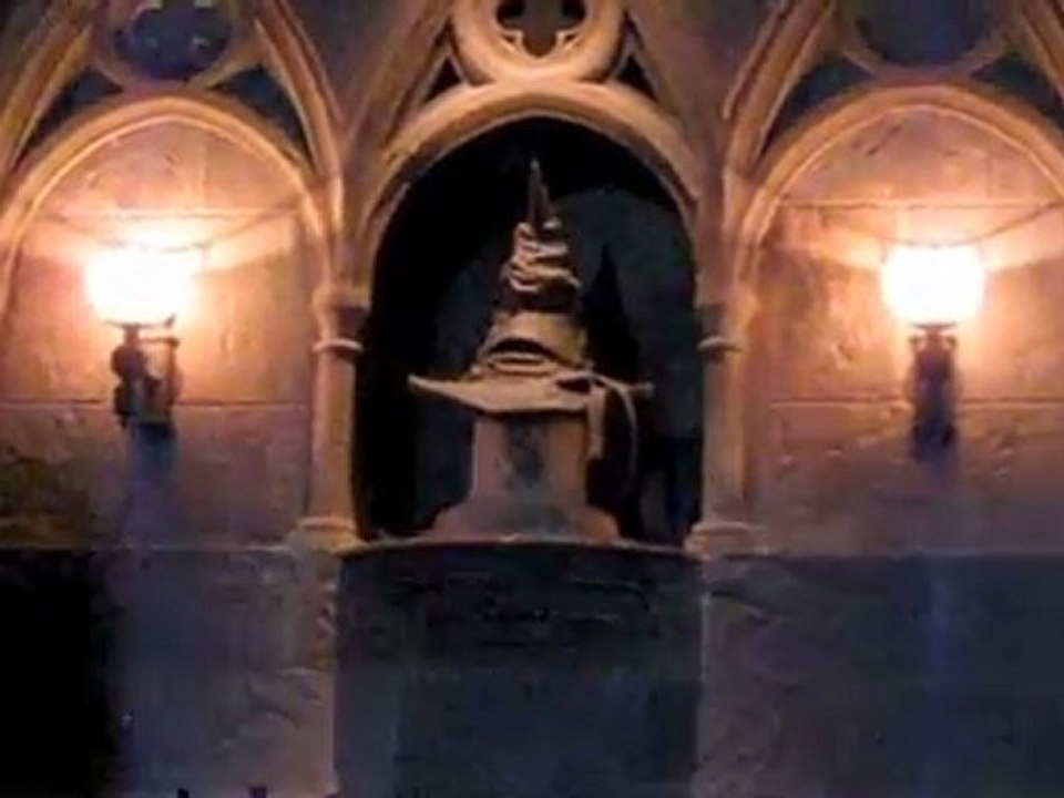 Orlando Flex Ticket adventure Harry Potter and the Forbidden Journey