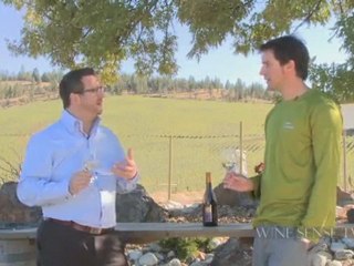 Pinot Gris:  How the Style Affects Food Pairing