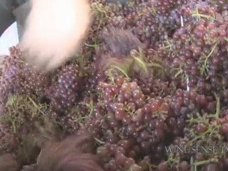 Meritage:  Bordeaux-Style Blends in British Columbia