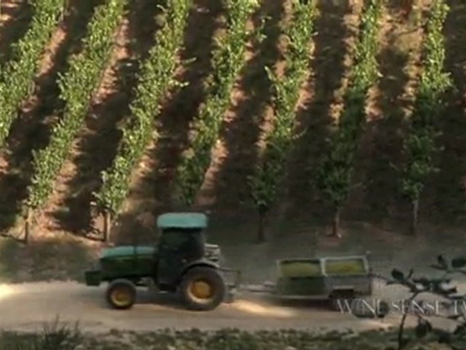 Change Your View on Chardonnay