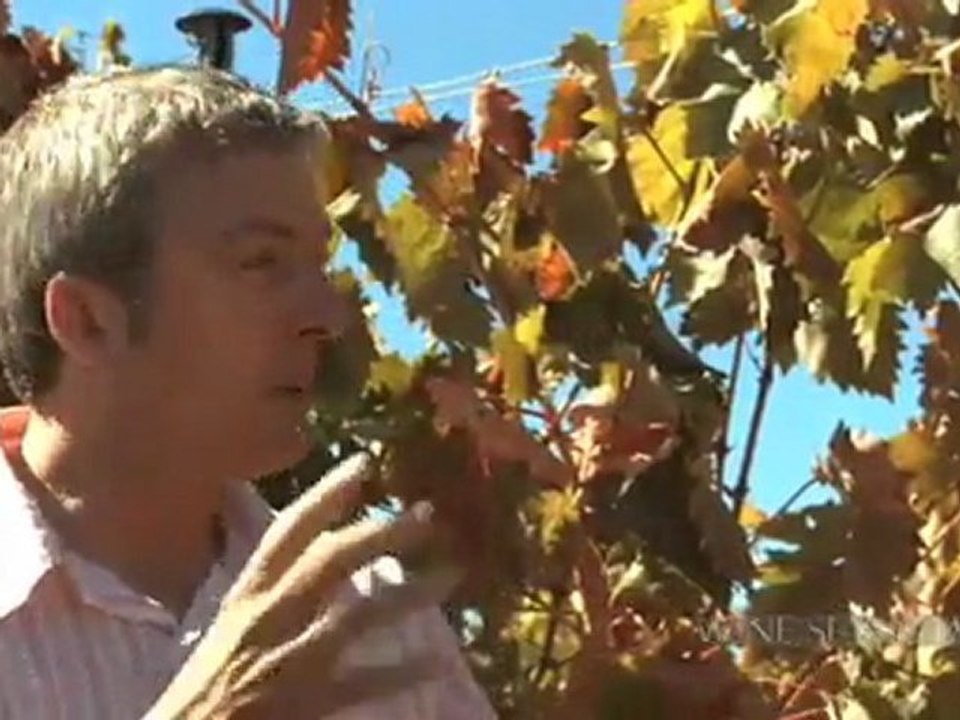 Organic and Biodynamic Winemaking at Gemtree