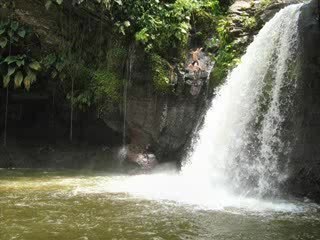 Le saut de la lézarde guadeloupe