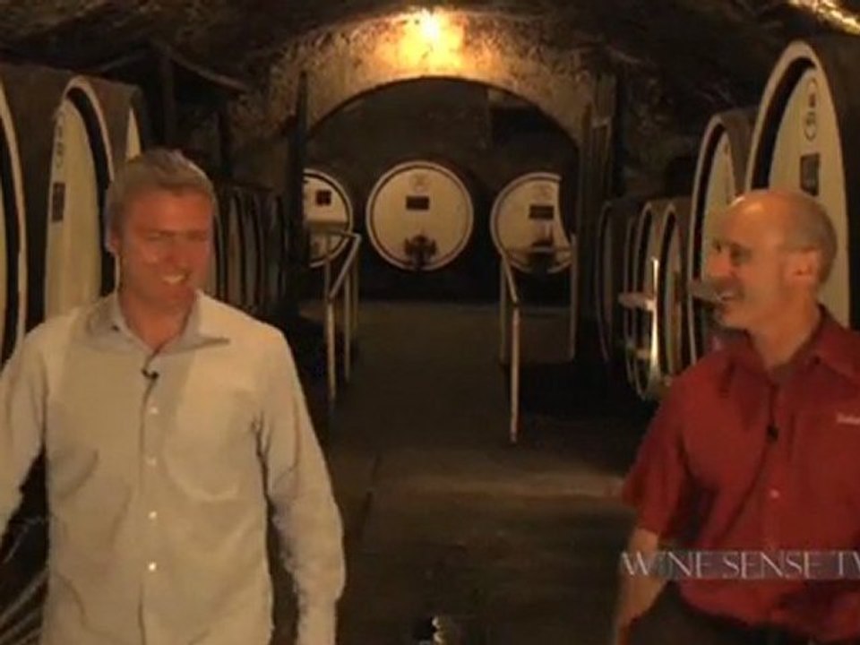 Shiraz:  150 Years in  a Bottle