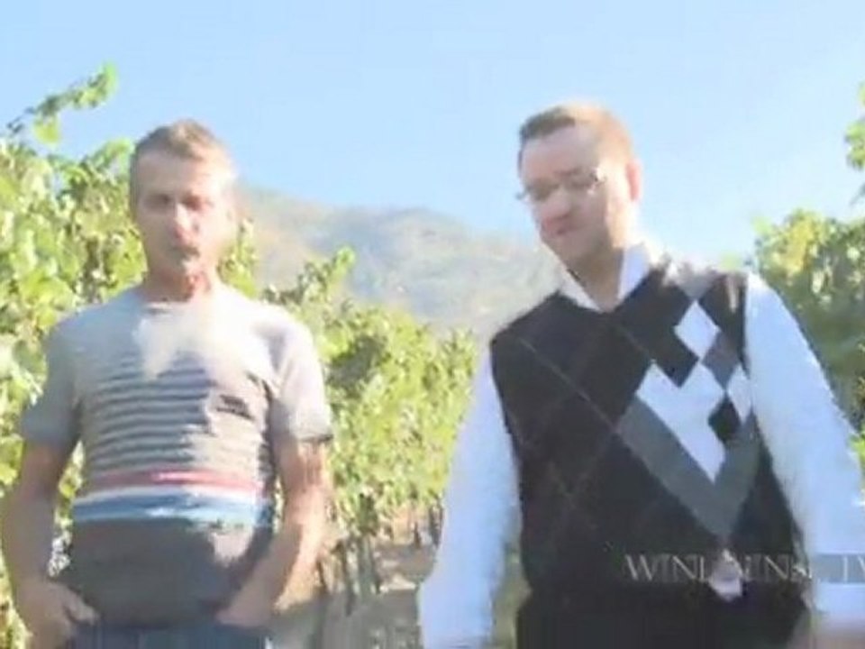 Pinot Noir, Pairing and a Patio