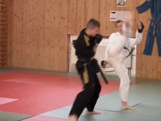 TAEKWONDO WTF VS KARATE - trailer