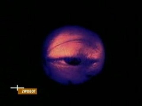 Afghan Whigs - Somethin' Hot