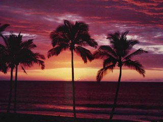 Kapıldım Gidiyorum (EnstrumentaL)