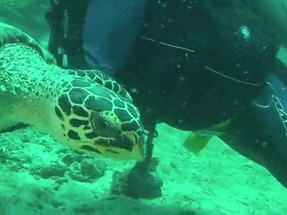 maldives le  28 mai 2011