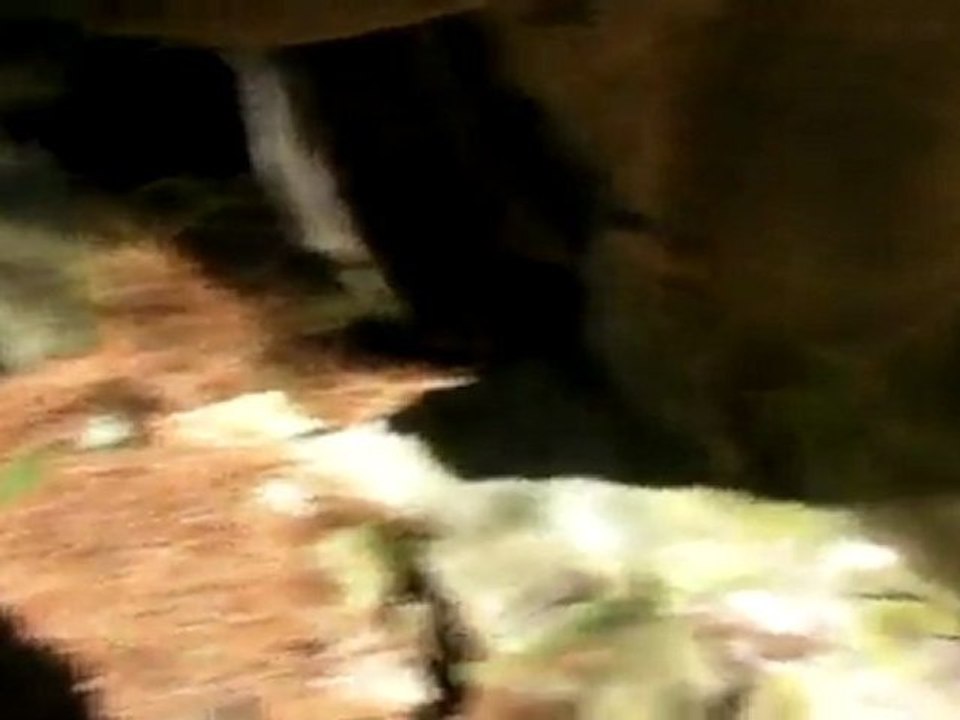 Microsof AVI NTSC Widescreen