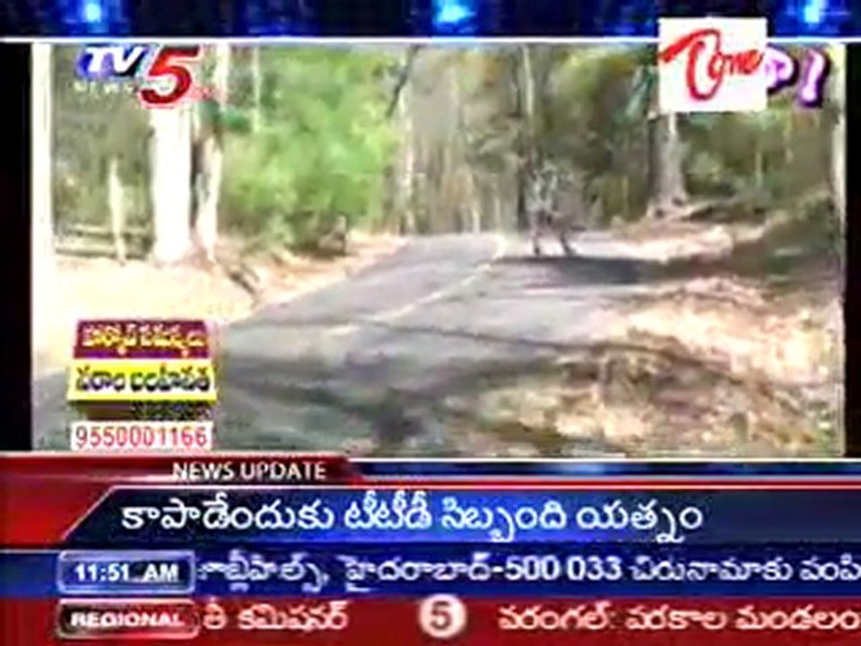 Extraordinary Skating Board Video