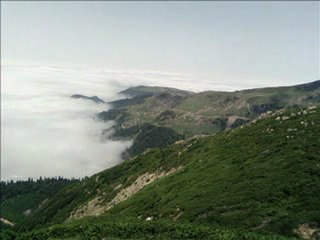 Selçuk balcı-Beklesin beni yarim
