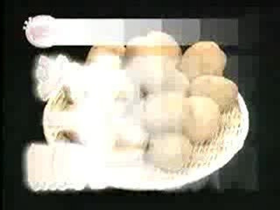 Eplucher-pomme-de-terre