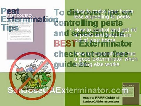 San Jose Exterminator