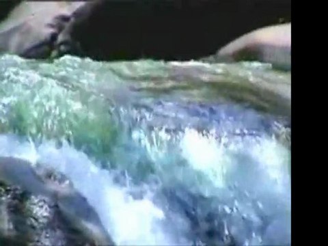 İmam-ı Rabbani (k.s)-Nefsine Düşmanlık Et