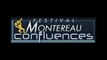 15ème Festival Montereau Confluences...premiers souvenirs