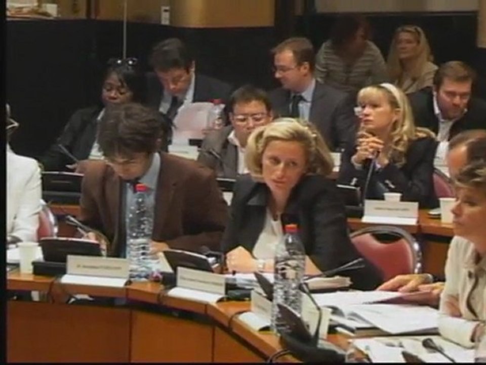 Ile Seguin :  le prestige culturel du projet de l’île Seguin (Intervention d'Isaure de Beauval- 16 juin 2011)