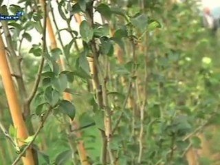 Le Crédit Agricole, parrain des Terres à l'Envers (Strasbourg)