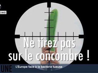 EP news n°2 : l'actualité du Parlement européen - juin 2011