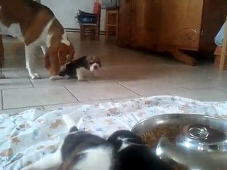 Premier repas ! 23.06.11