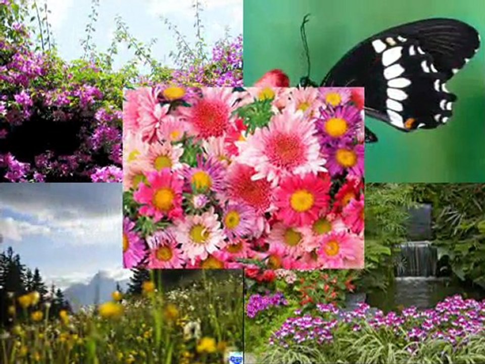 c'est beau la nature