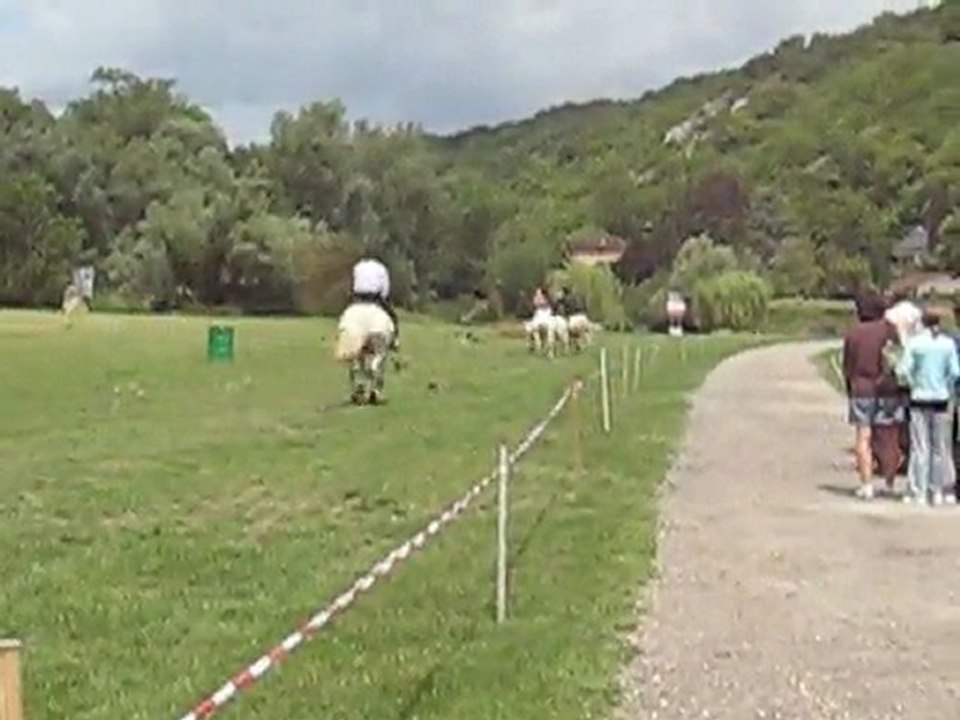 Course a cru 19 juin 2011 Camargues du Vexin