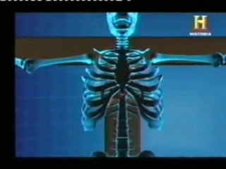 Jesus: Biomecanica de la crucifixion