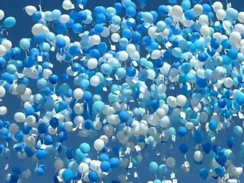 Journée entre amis le 11 juin 2011 pour Grégory Lemarchal