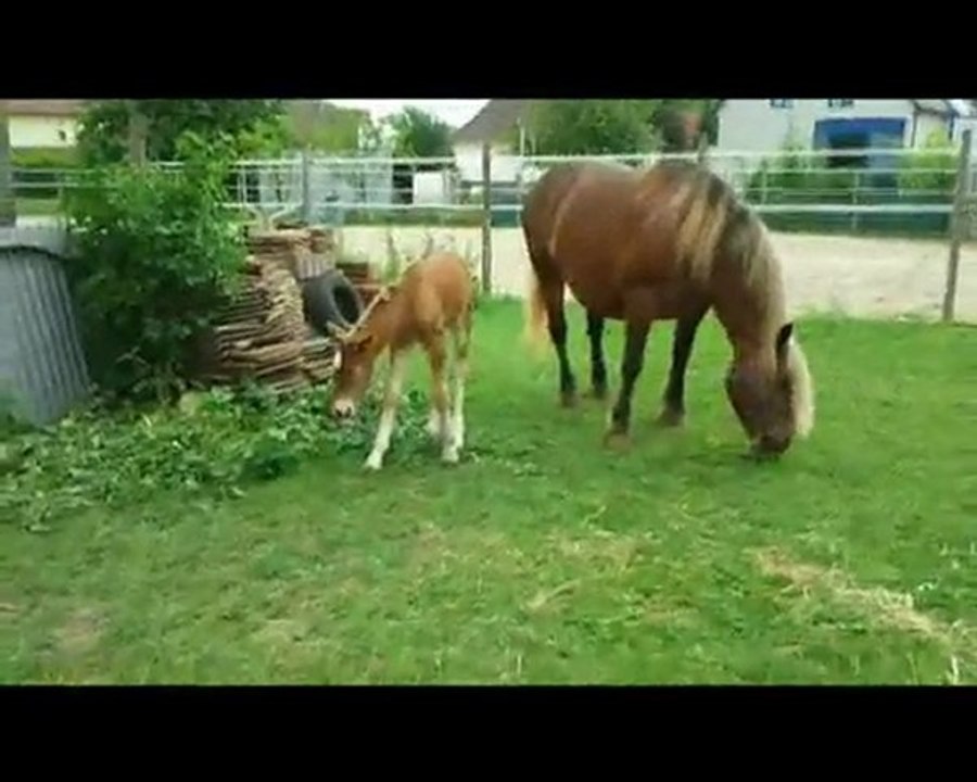Le 1er jour du reste de notre vie