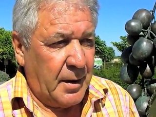 Pomport : Jean-Paul Jammes présente sa commune