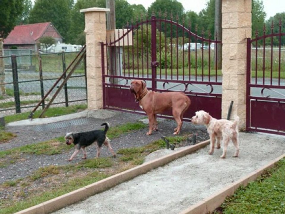 visite a notre amie pascaline
