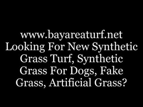 Bay Area artificial grass suppliers; buy synethetic lawn grass