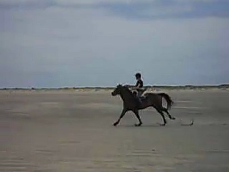 pucky à la plage