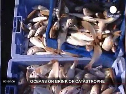 Ecosistemas marinos: el sufrimiento silencioso